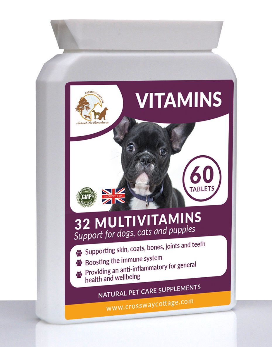 essential vitamins and minerals for dogs