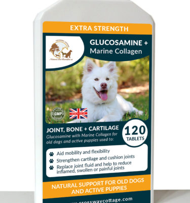 Natural Dog Glucosamine & Marine Collagen Tablets for Old Dogs & Active Puppies