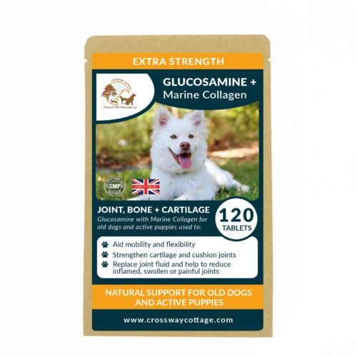 Biodegradable Natural Glucosamine & Marine Collagen Tablets for Old